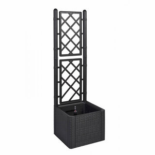 SPALIER Rattan (schmale Version) Farbe: Anthrazit