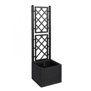 Bundle: Rattan Spaliere - 2 große Spaliere, 1 kleines Spalier in Anthrazit