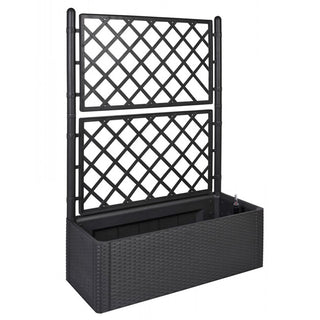 XL SPALIER Rattan (breite Version) Farbe: Anthrazit