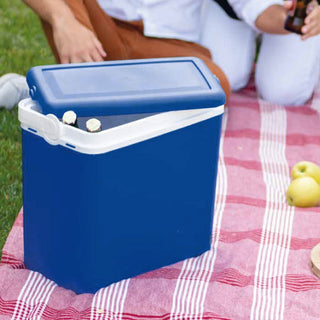 Kühlbox 24 Liter + 2 x 400 ml Kühlakkus (Farbe wählbar)
