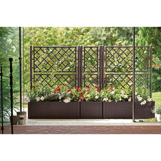 Set: 2 x XL PFLANZKASTEN mit Wasserspeicher Rattan (breite Version) Farbe: Anthrazit